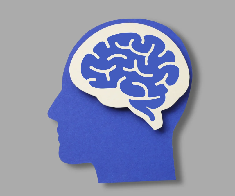 Concussion Management