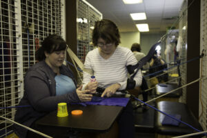 Occupational Therapy